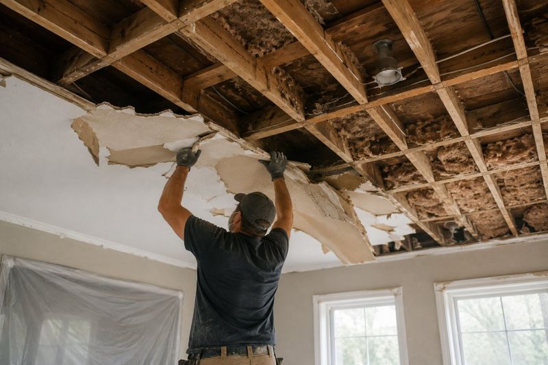 Ceiling Removal Service in Alpharetta, GA